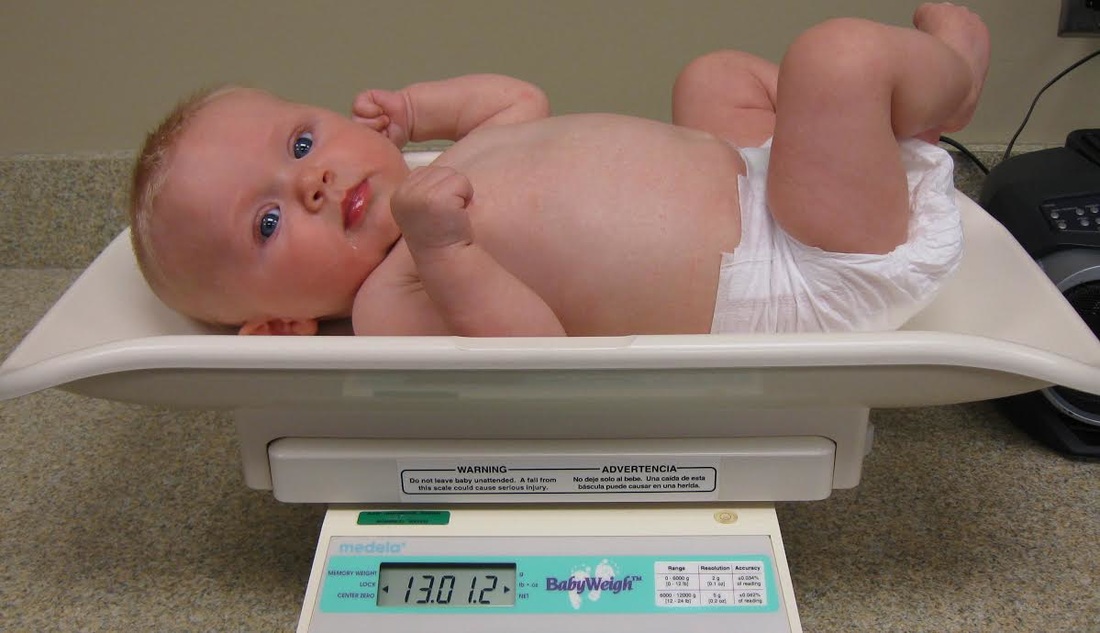 medela babyweigh scale